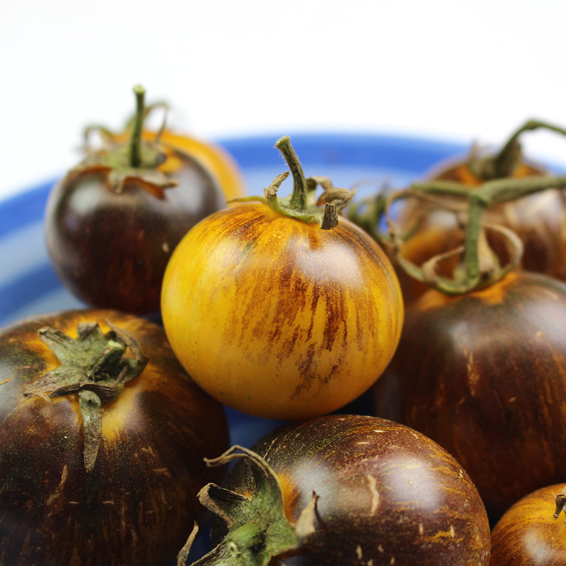 Tomato Stripes of Yore