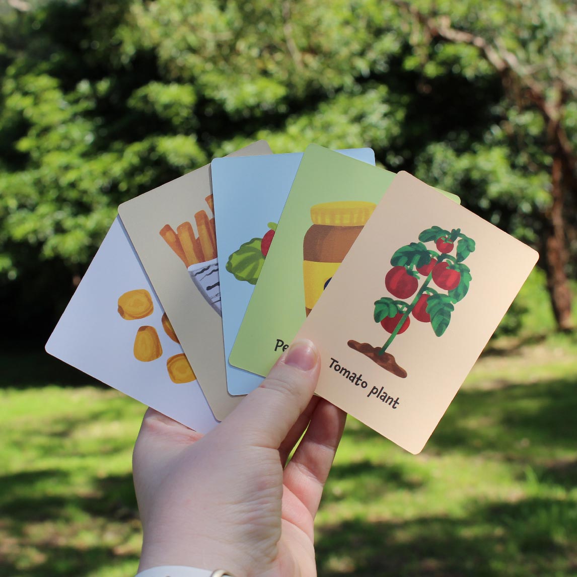 Little Diggers Triple Snap & Memory Cards