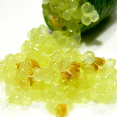 Finger Lime 'Rough Green'