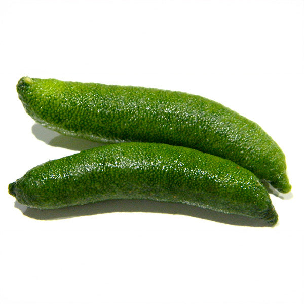 Finger Lime 'Rough Green'