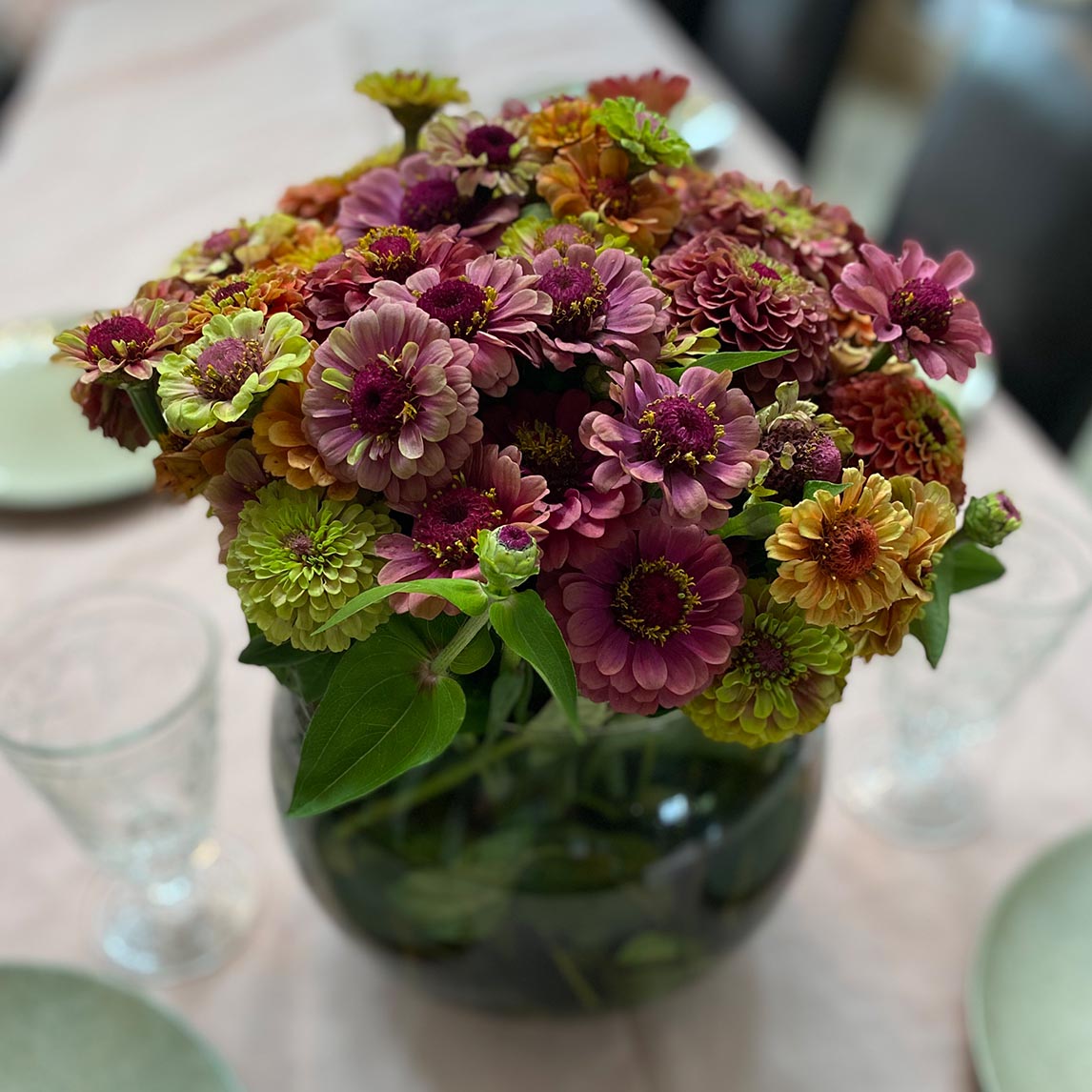 Zinnia Autumn Sky Mix