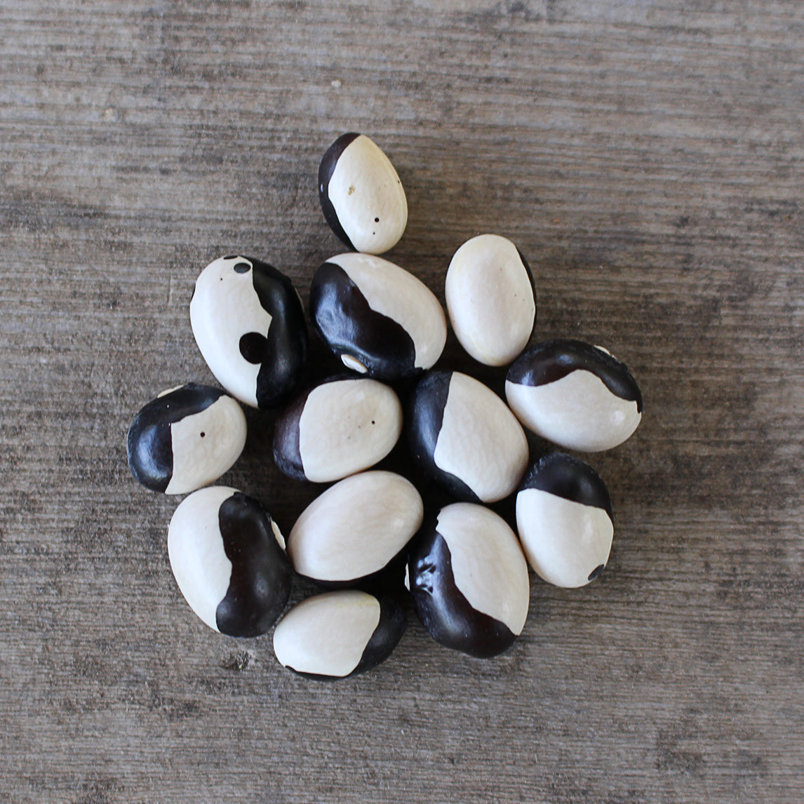 Bean 'Yin Yang' (Organic)
