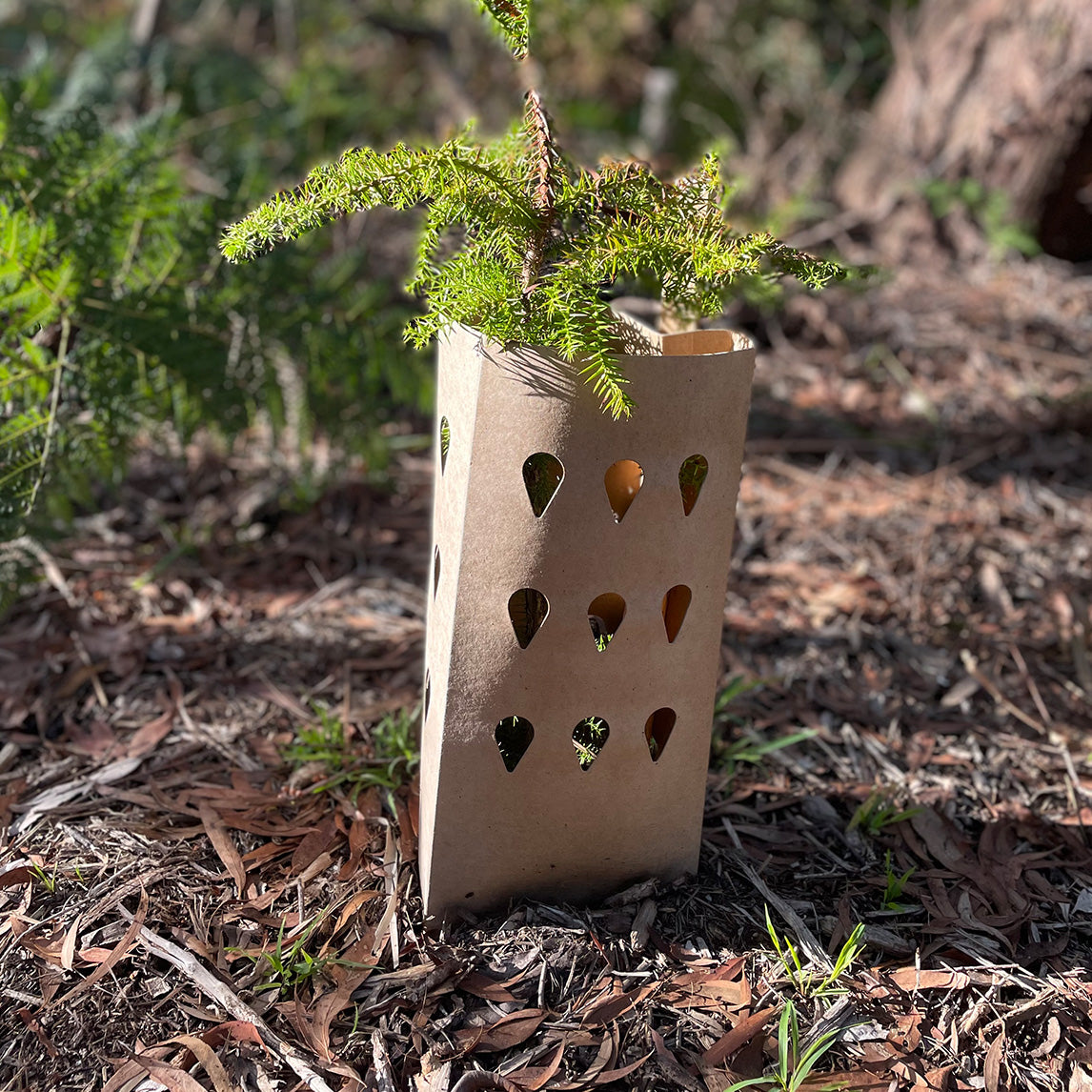 Biodegradable Tree Guard - 3 PACK