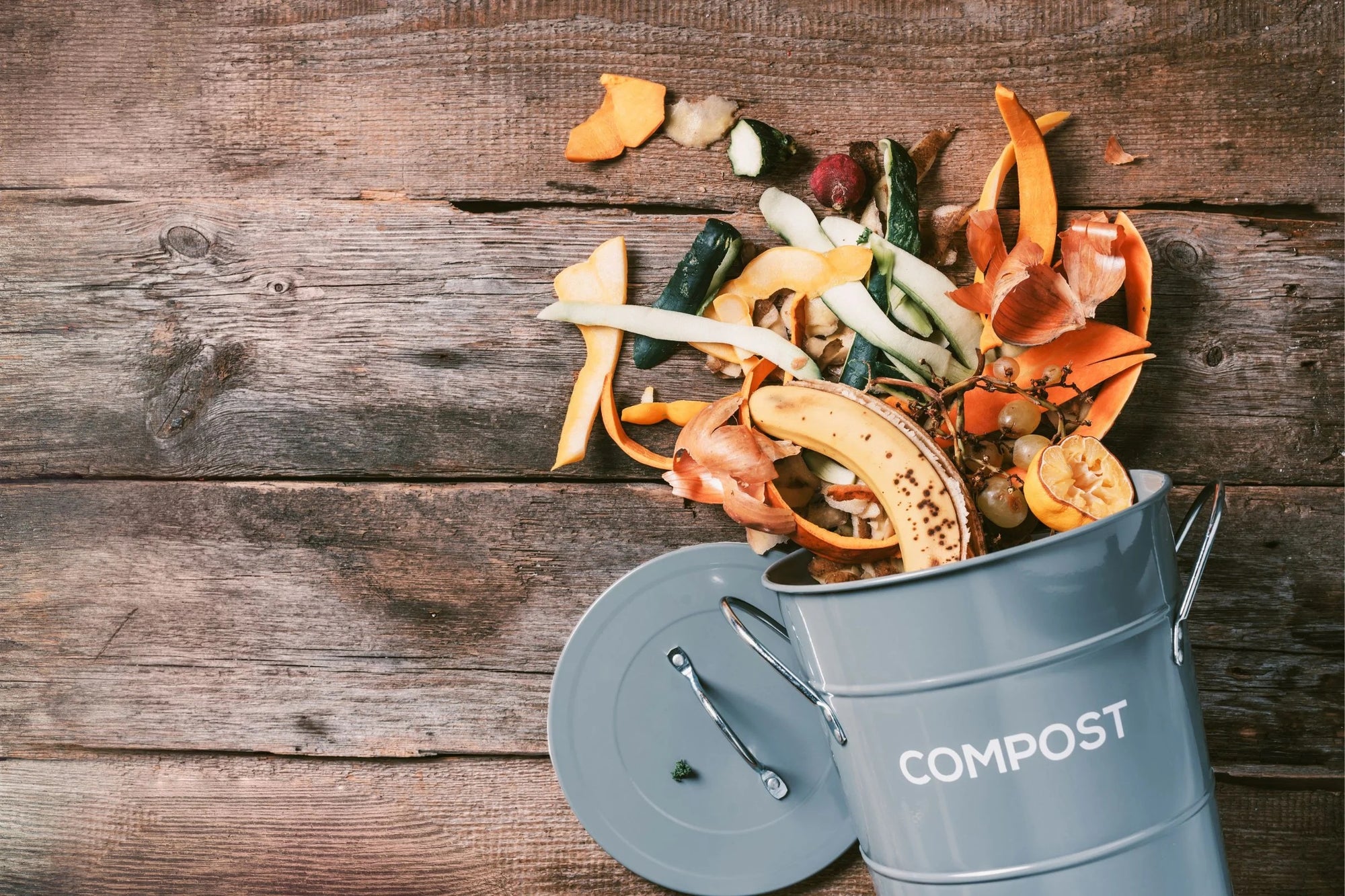 Composting & Worm Farming Masterclass 2024