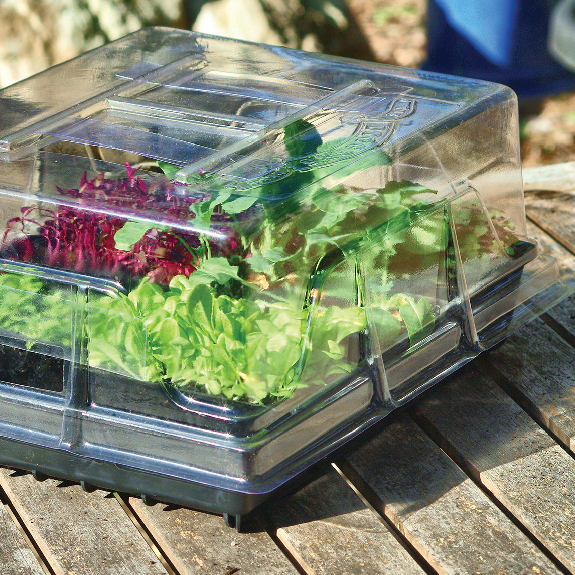 Diggers Basic Propagation Kit