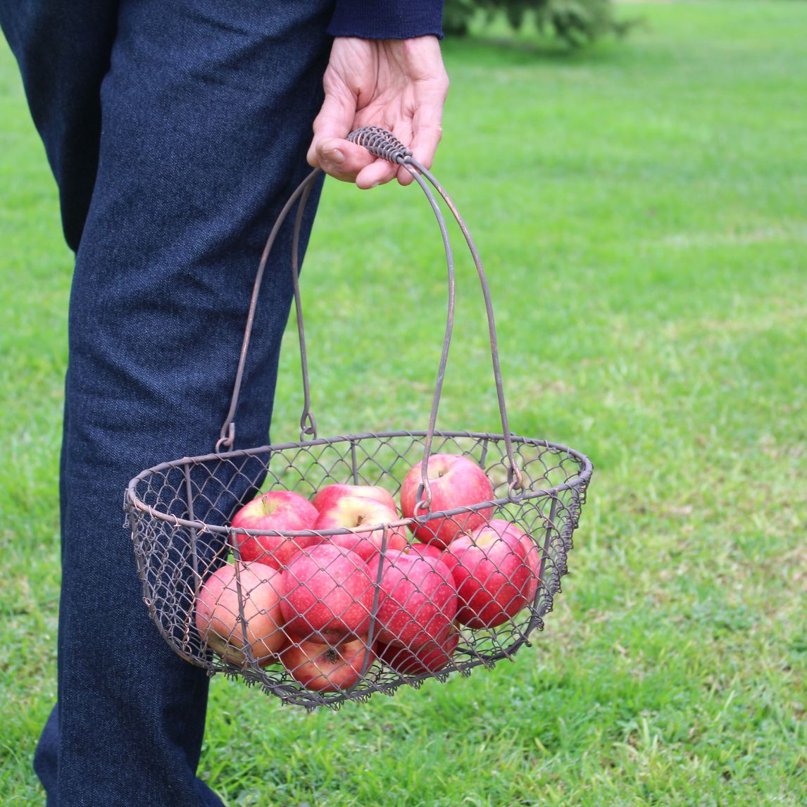 Rounded Metal Basket - various sizes