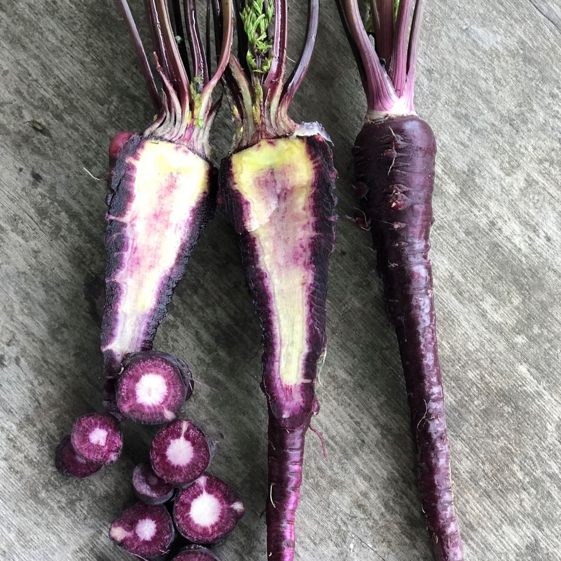 Carrot 'Black Nebula'