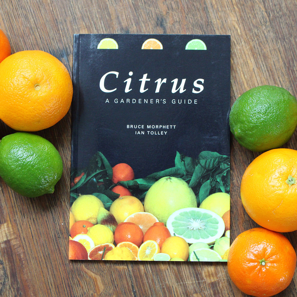 Citrus, A Gardener's Guide