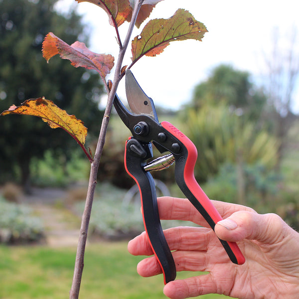 Felco 160S Secateurs for Small Hands The Diggers Club