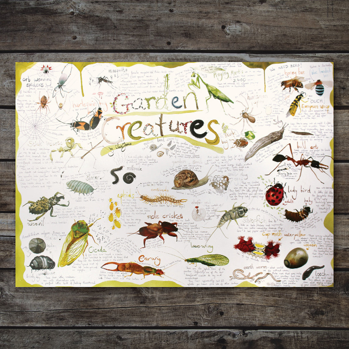 Garden Creatures Poster