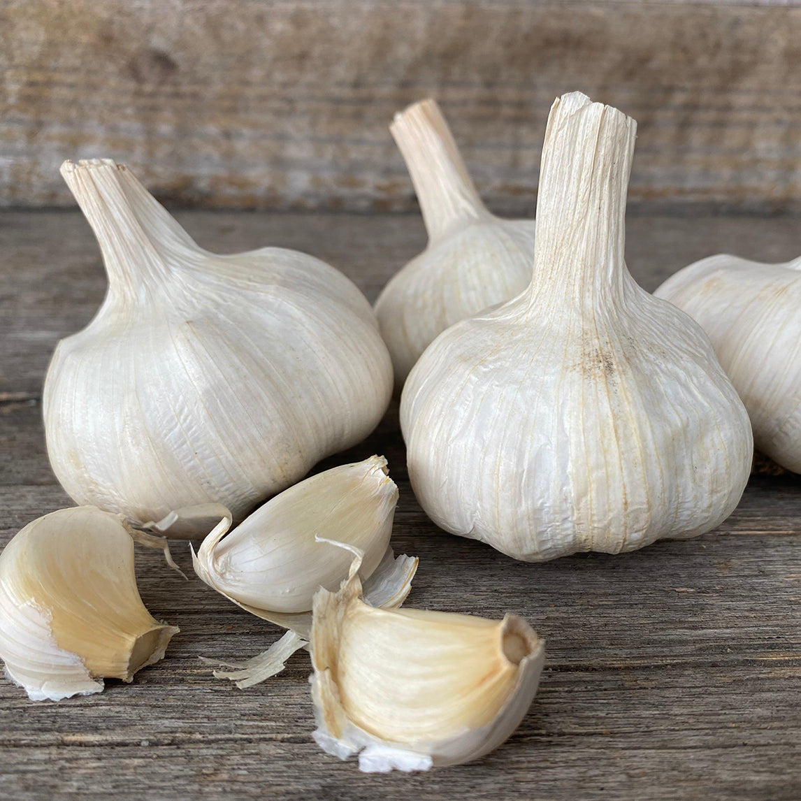 Garlic 'White Crookneck' (2 Heads)
