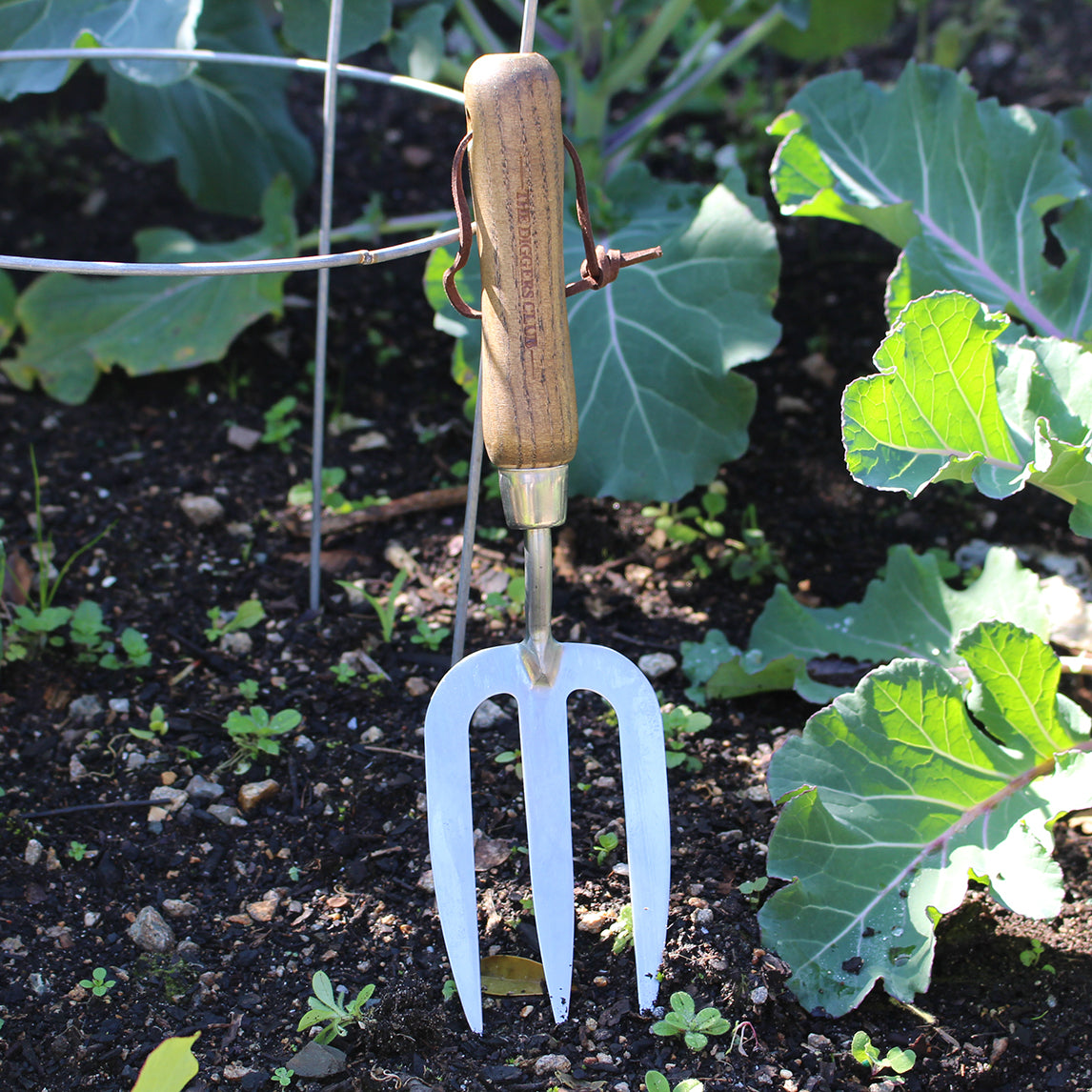 Stainless Steel Hand Fork