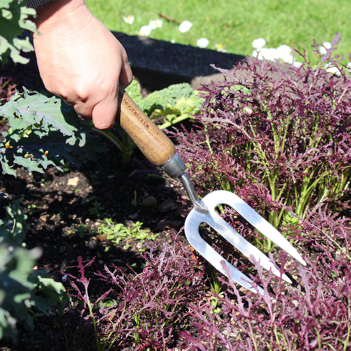 Stainless Steel Hand Fork