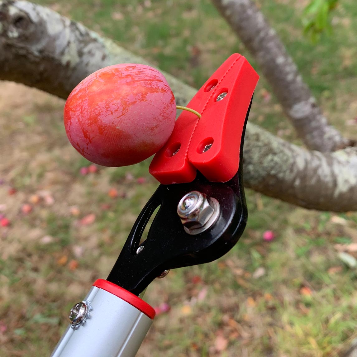 Long Reach Cut And Hold Picker