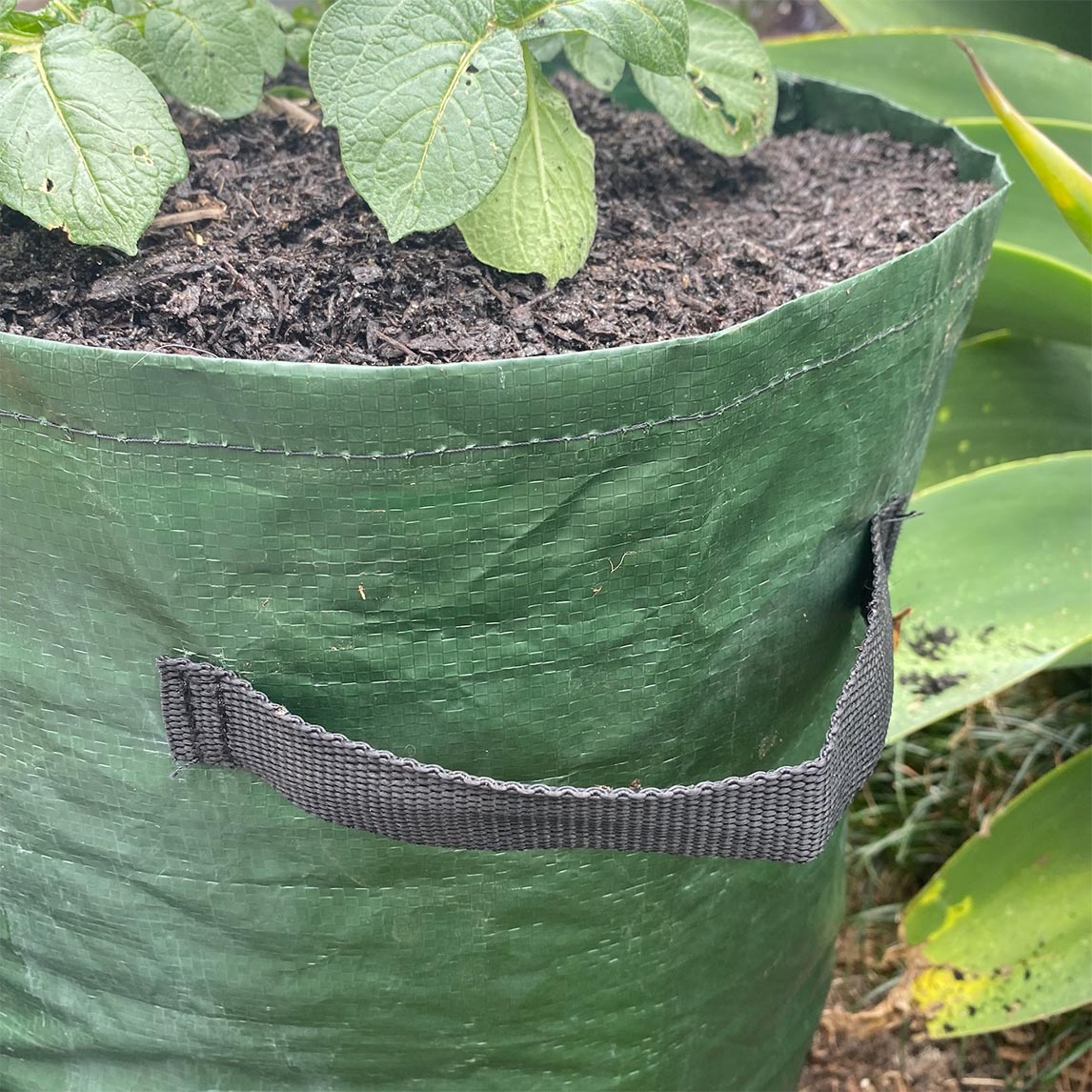 Potato Planting Grow Bag Twin Pack