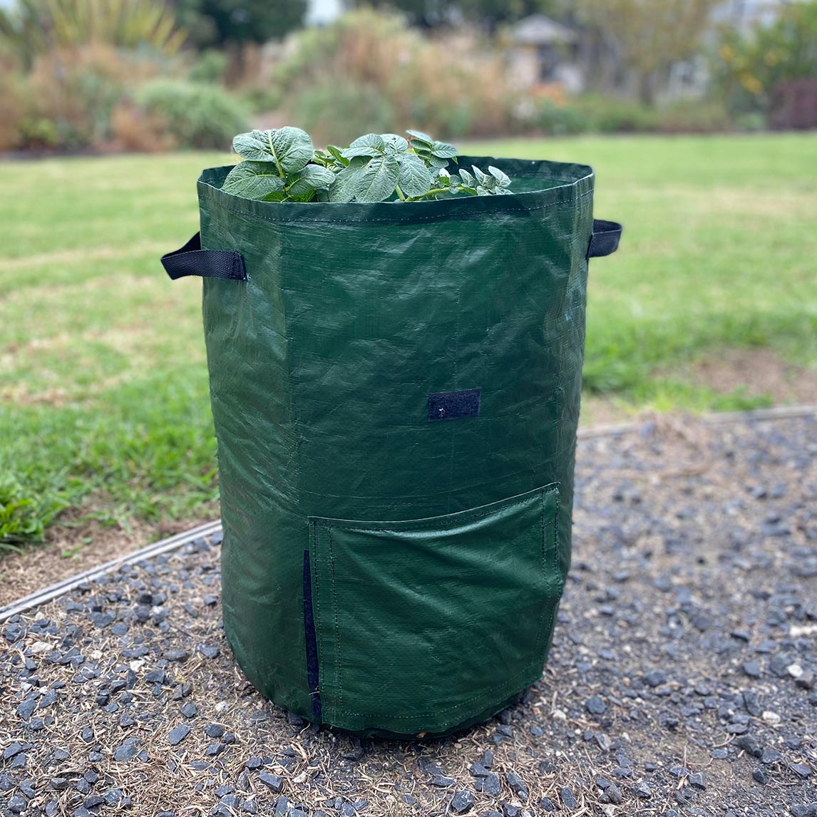 Potato Planting Grow Bag Twin Pack