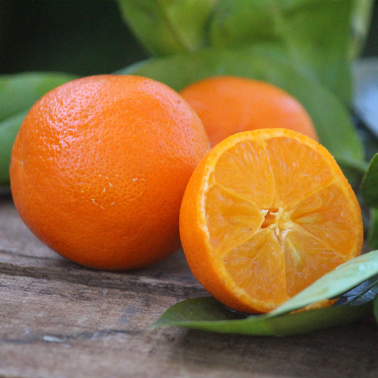Rangpur Lime