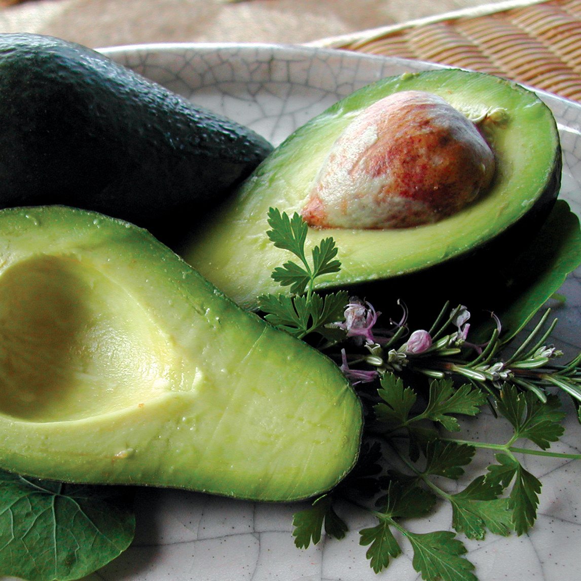 Avocado 'Wurtz'