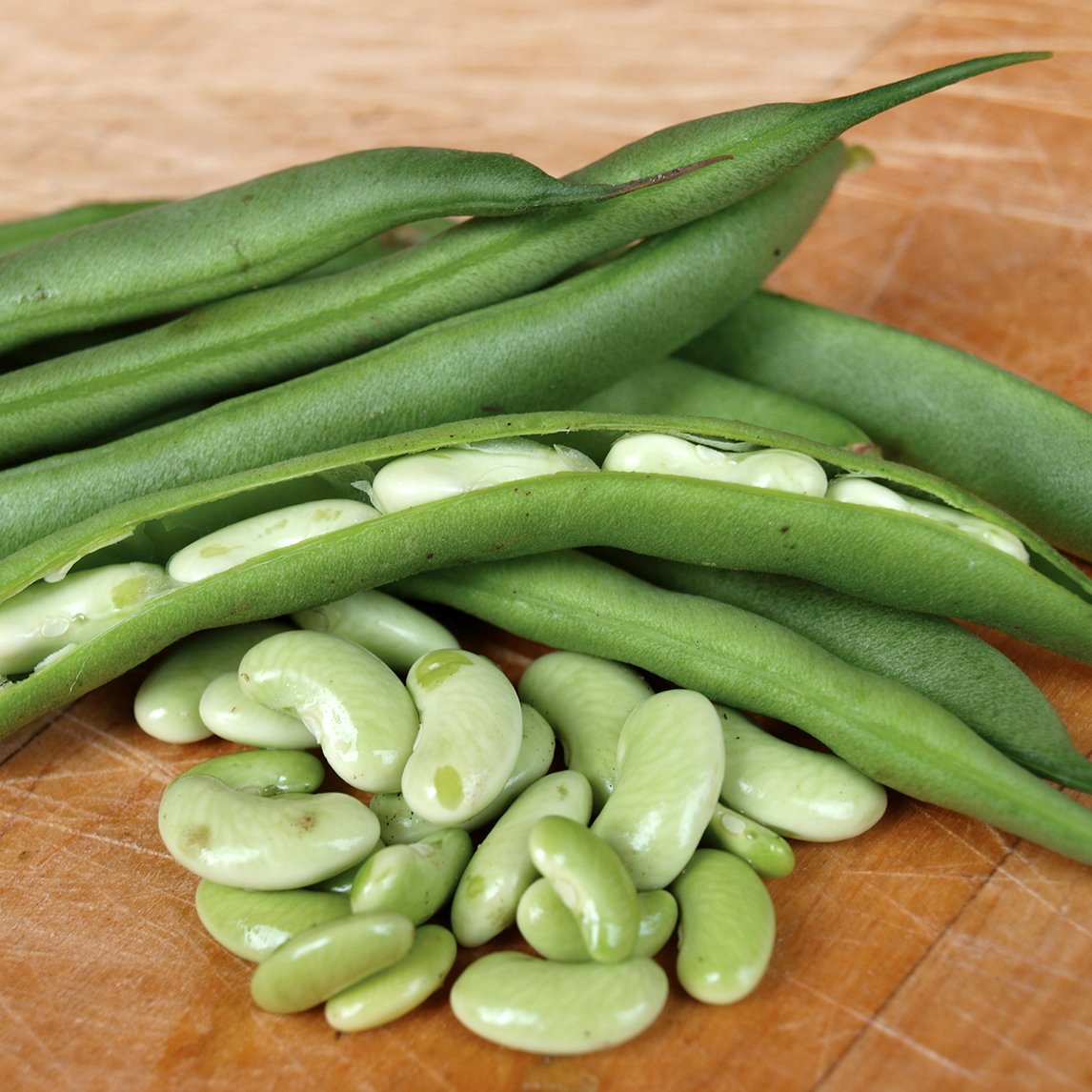 Bean 'Flageolet Flagrano'