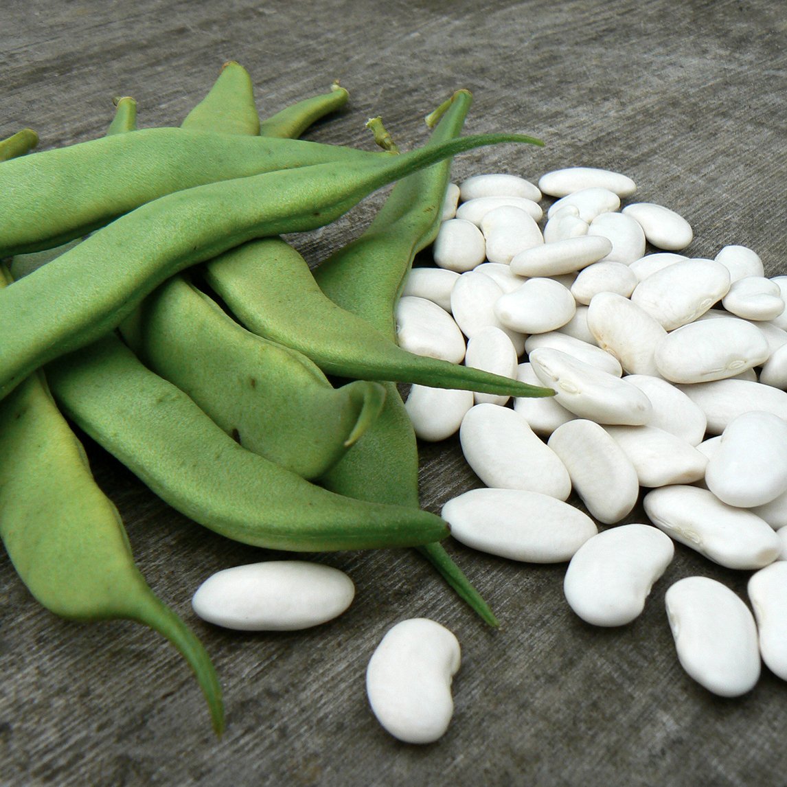 Bean 'Haricot' (Organic)