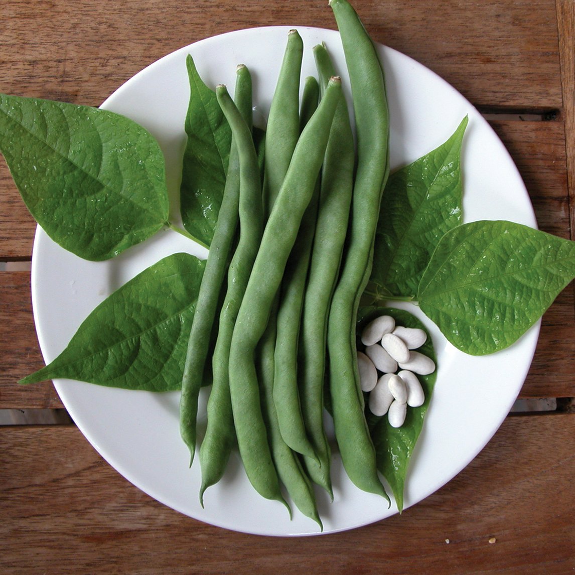 Bean 'Lazy Housewife' (Organic)