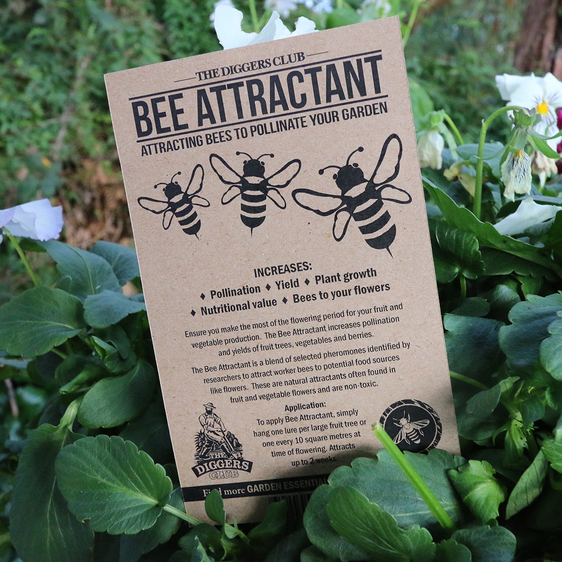 Bee Attractant