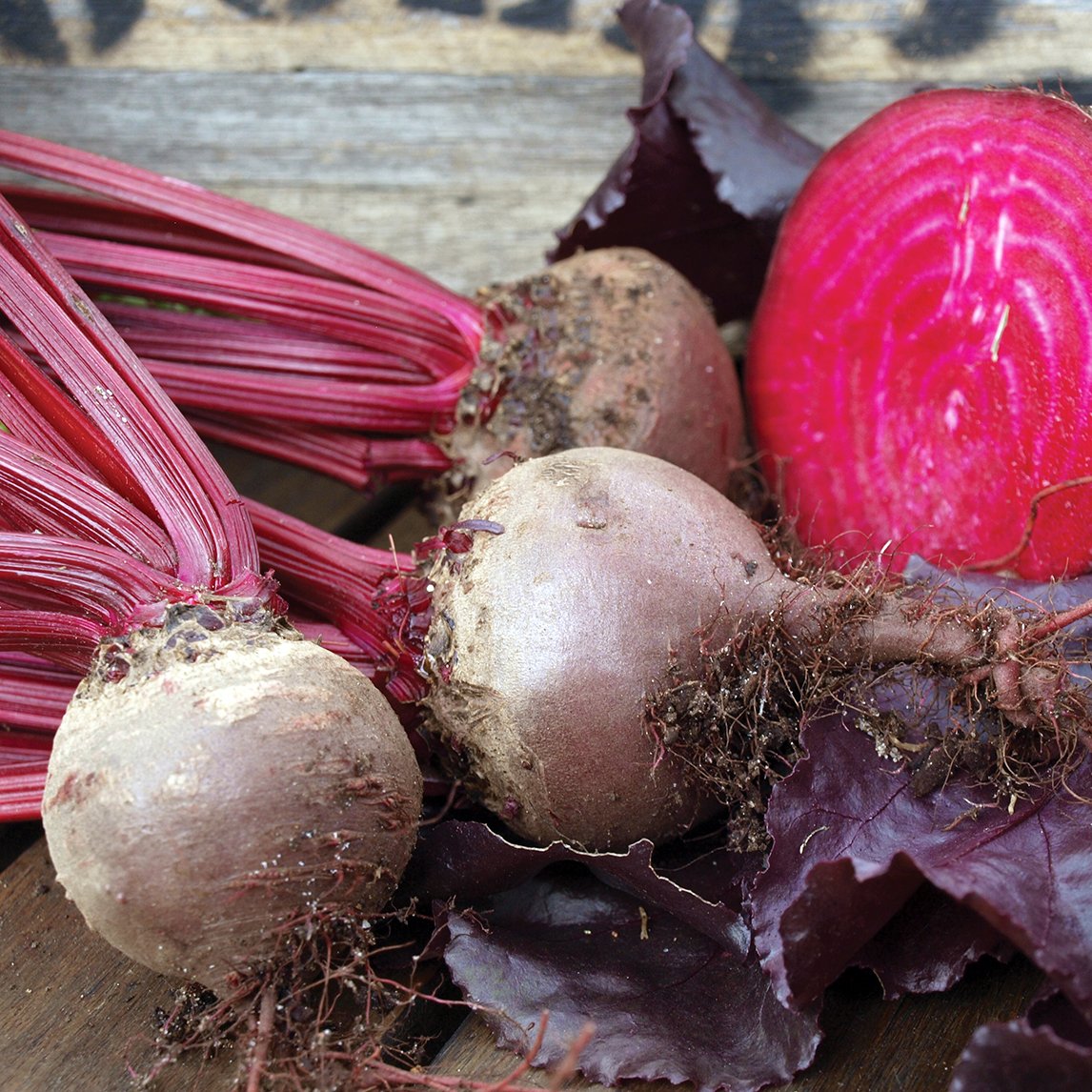 Beetroot 'Bull's Blood' (Organic)