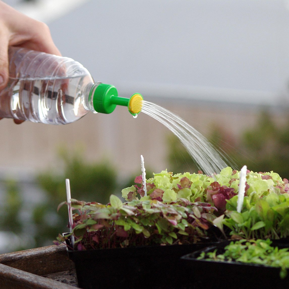 Bottle Top Waterer (x3)