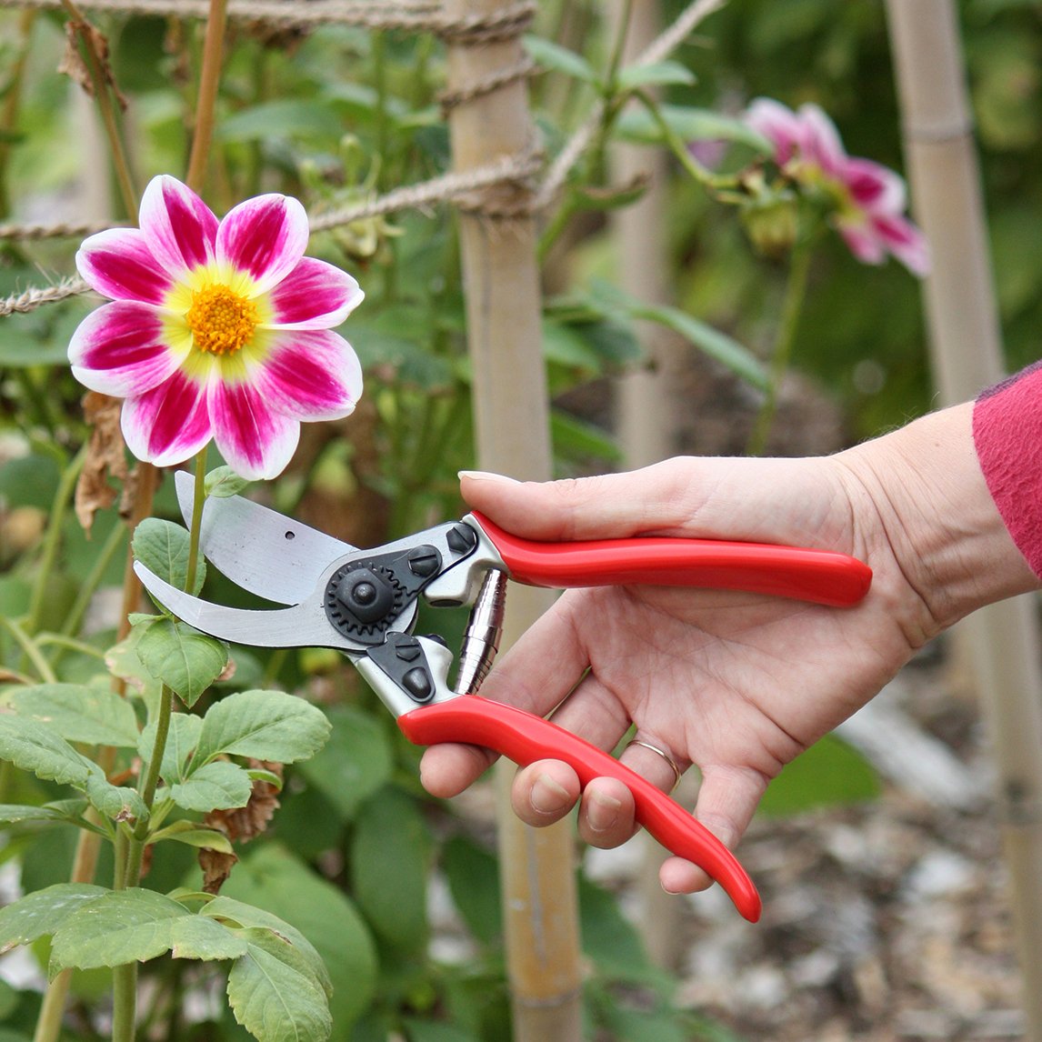 Bypass Secateurs