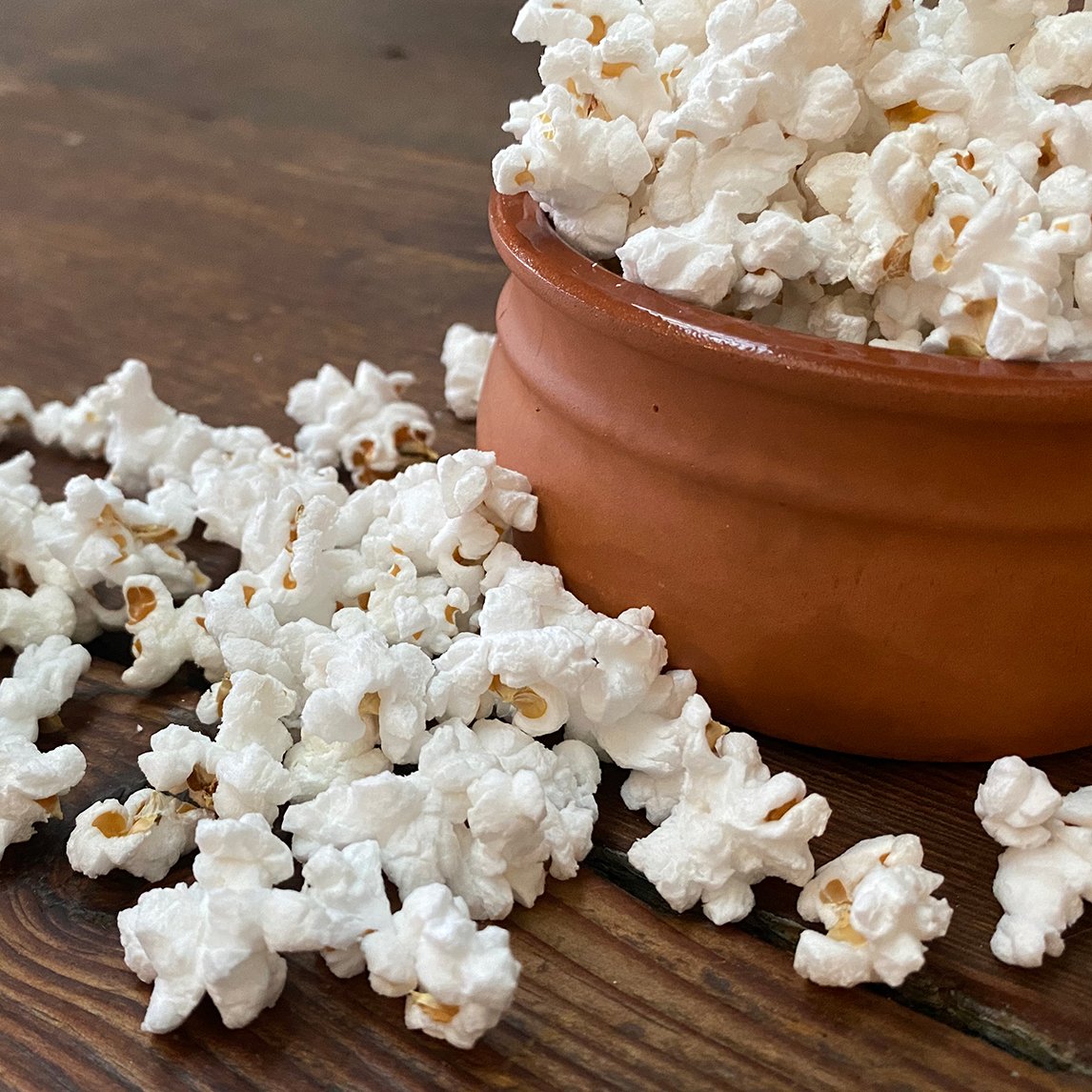 Corn 'Ontos Oval White Popcorn' (Organic)