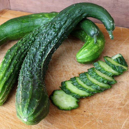 Cucumber 'Suyu Long' Organic