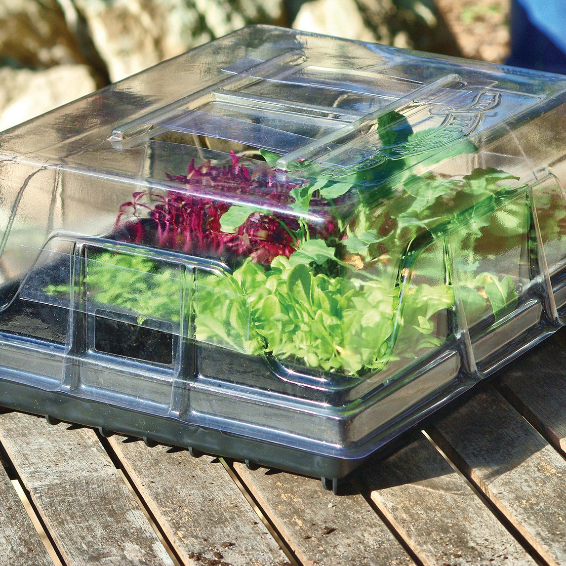 Diggers Basic Propagator Kit