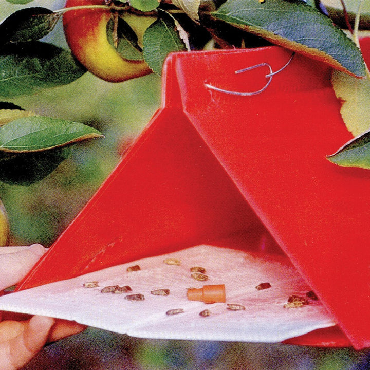 Diggers Codling Moth Trap