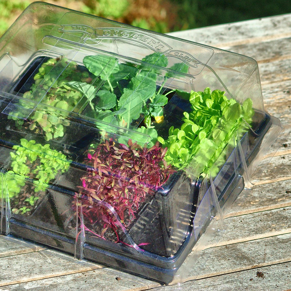 Diggers Propagator Lid