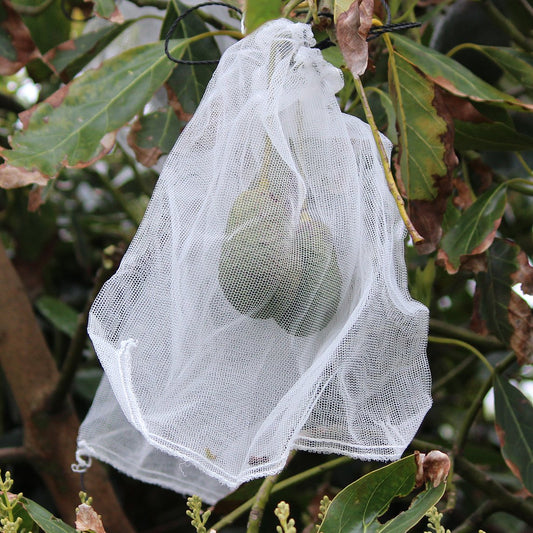 Fruit Protection Bag (Pack of 10)
