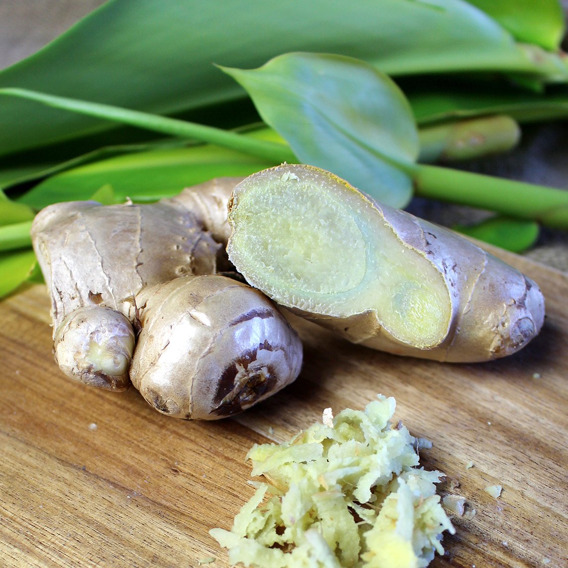 Gourmet Ginger (rhizome) Organic