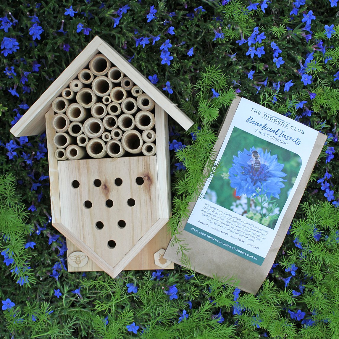 Insect House With Beneficial Insect Collection