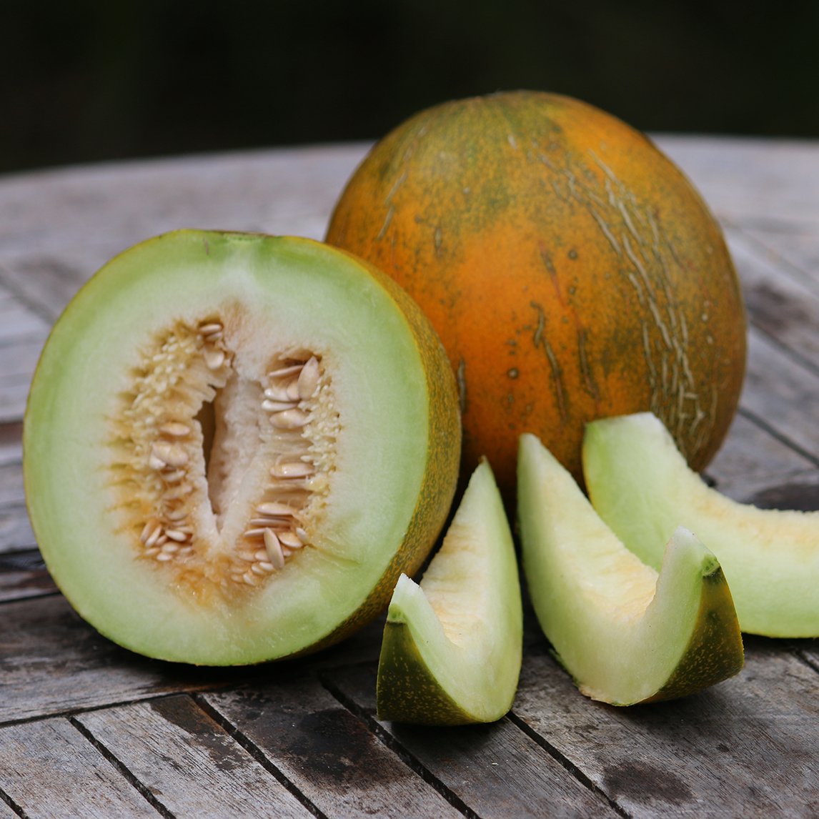 Rockmelon 'Kazakh' (Organic)