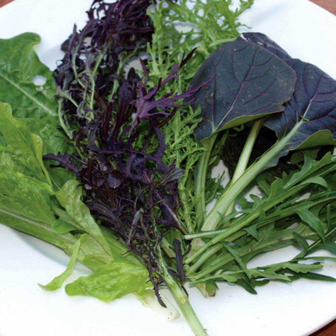 Chef's Winter Seed Collection