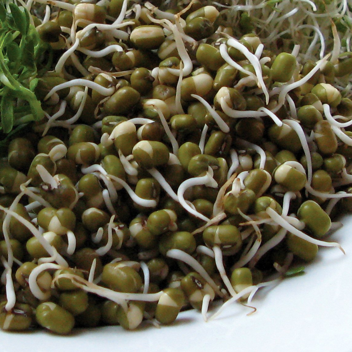 Mung Beans