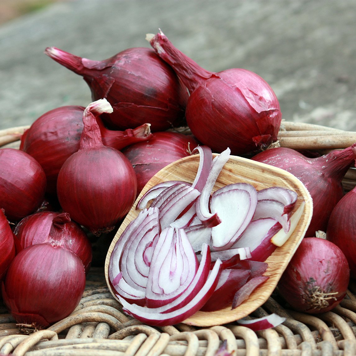 Onion 'Red Marksman'