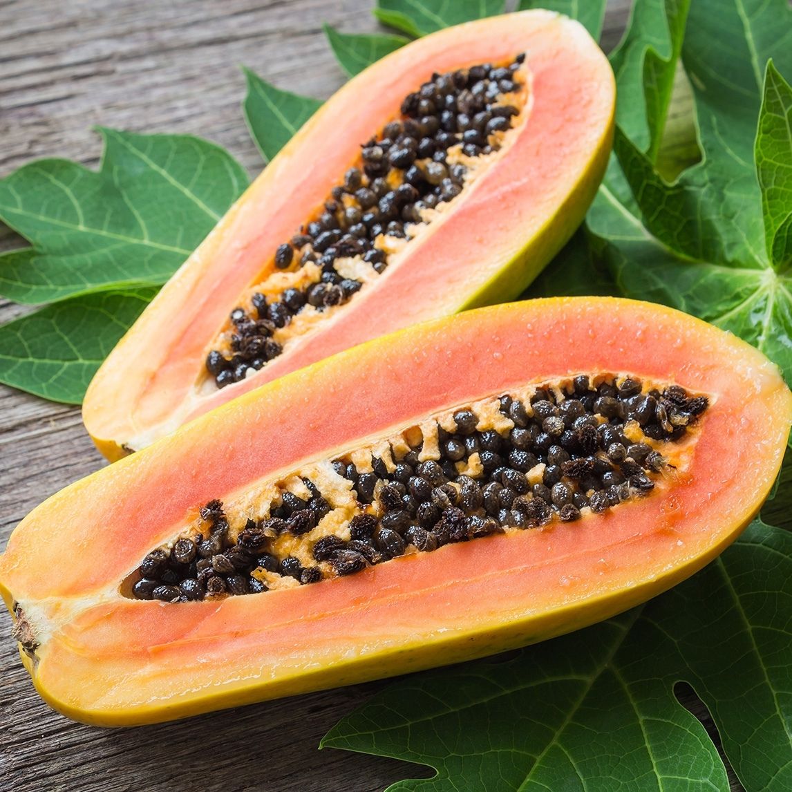 Paw Paw 'Red Lady'