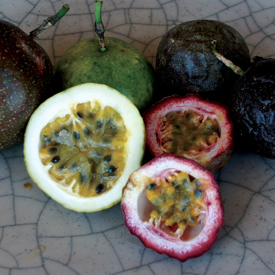 Passionfruit 'Purple'