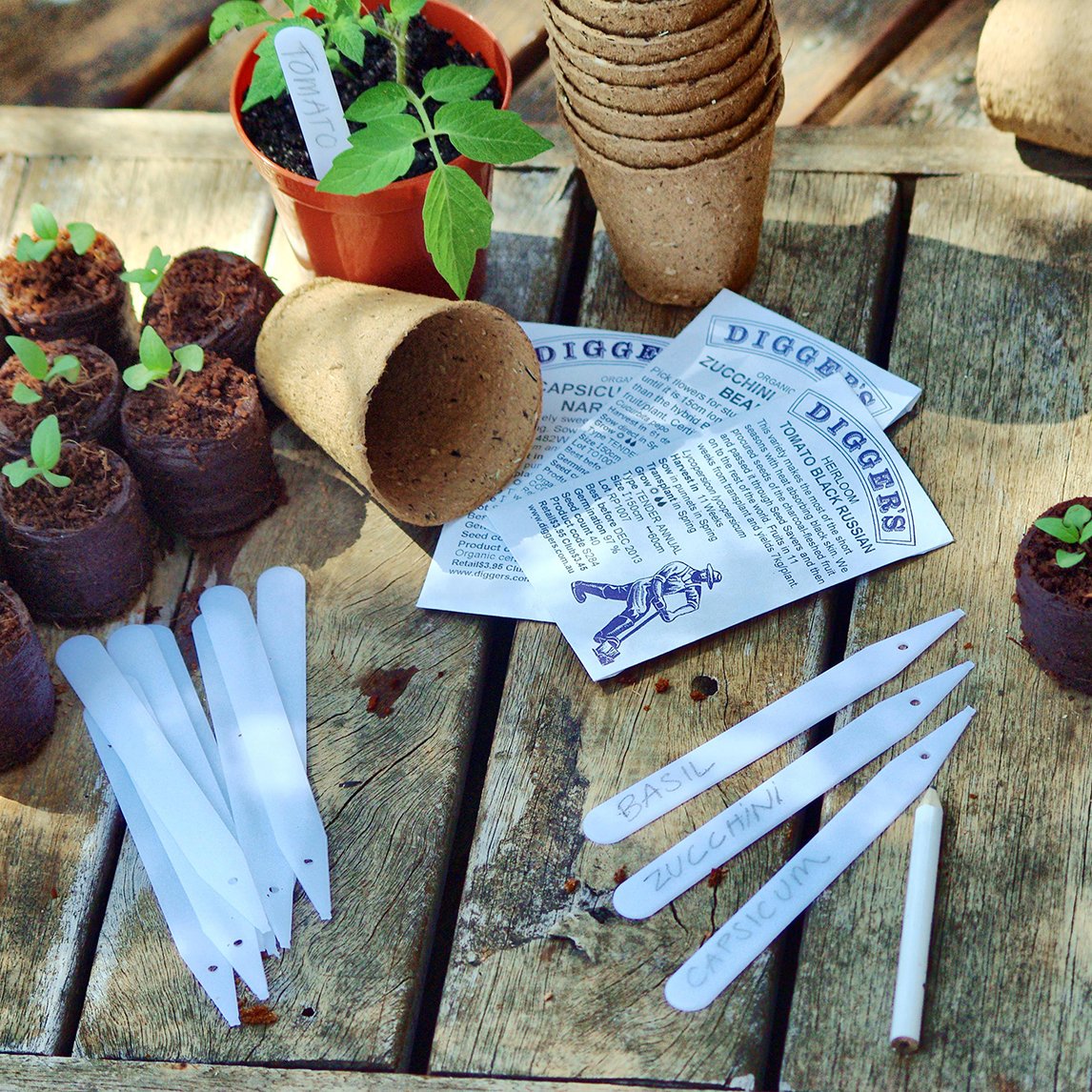 Pkt Of 50 Plastic Plant Labels & Pencil