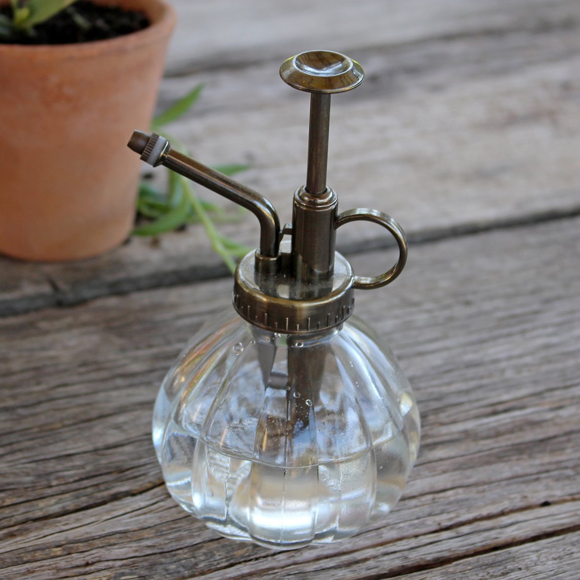 Plant Mister - Clear