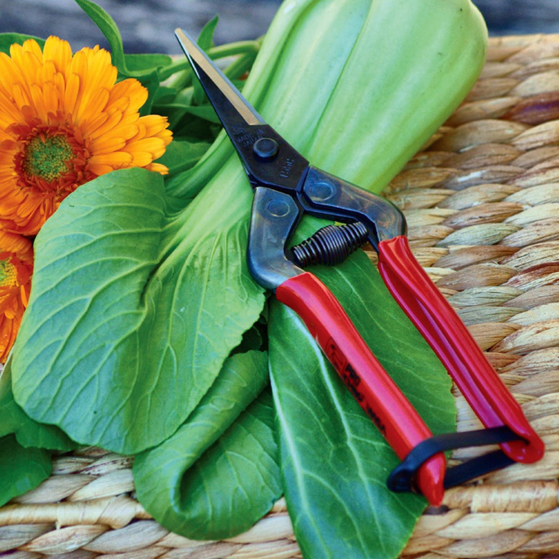 Quality Pruning Snips