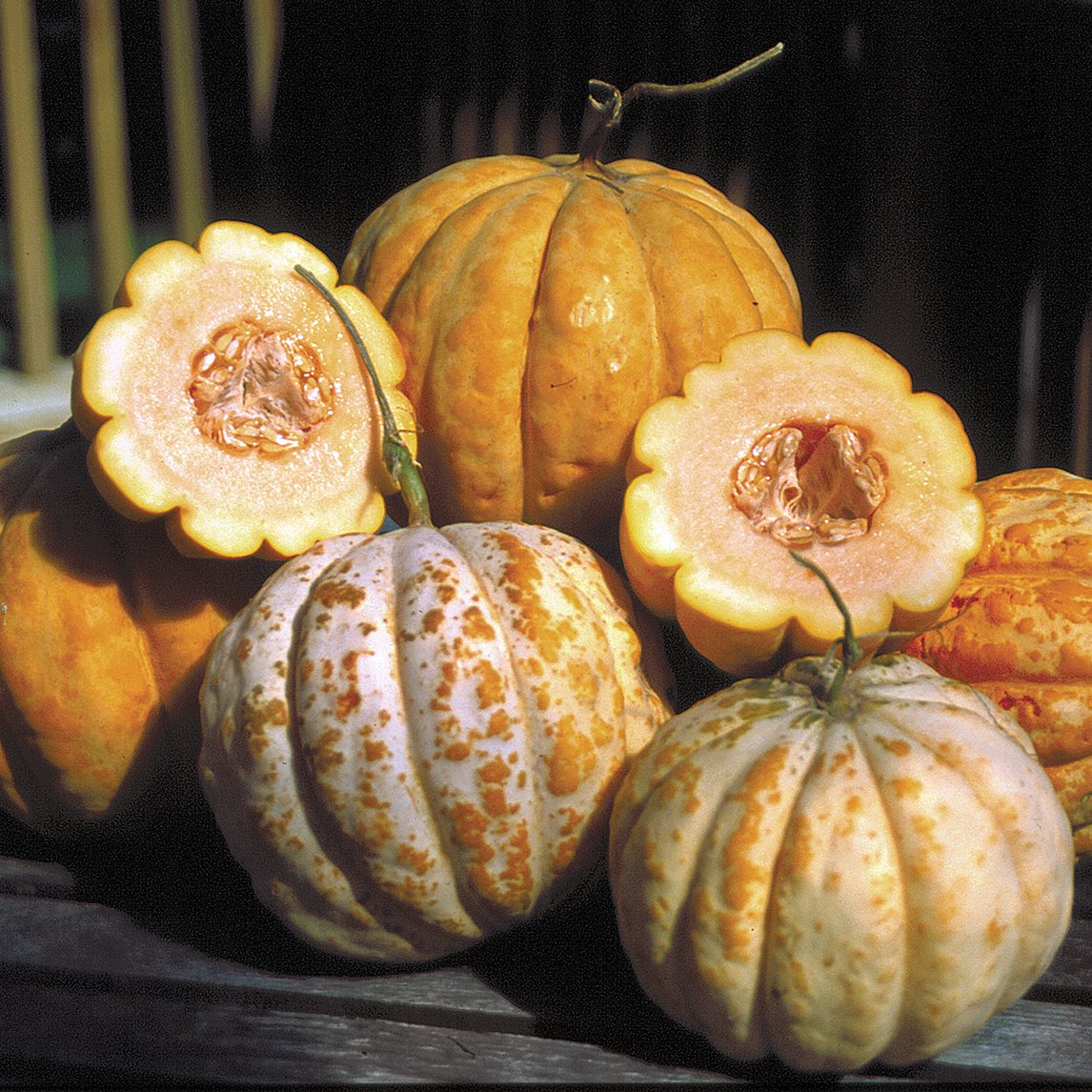 Rockmelon 'Delice De La Table' (Organic)