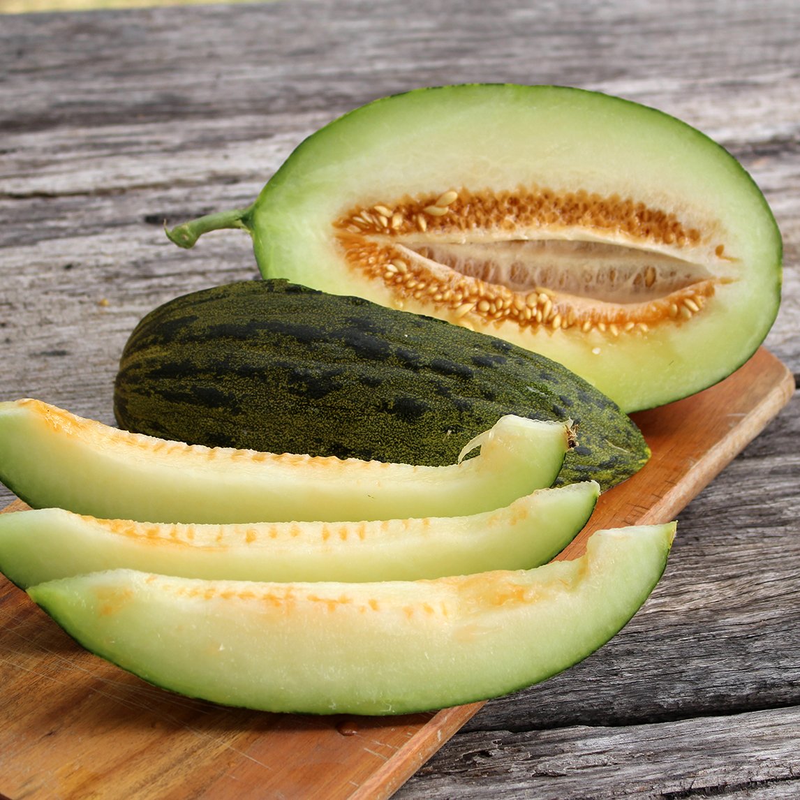 Rockmelon 'Piel De Sapo' (Organic)