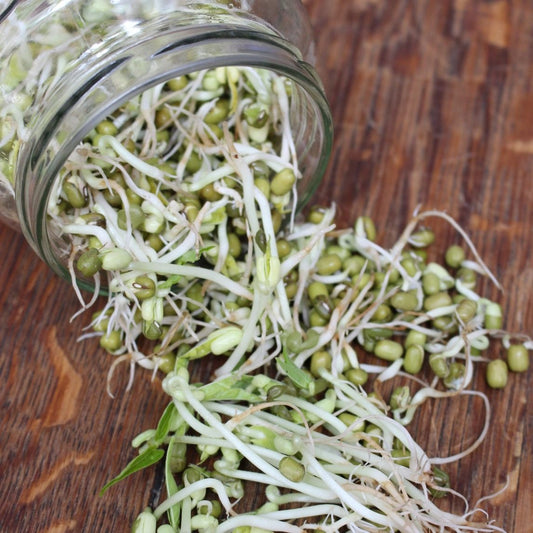 Mung Beans