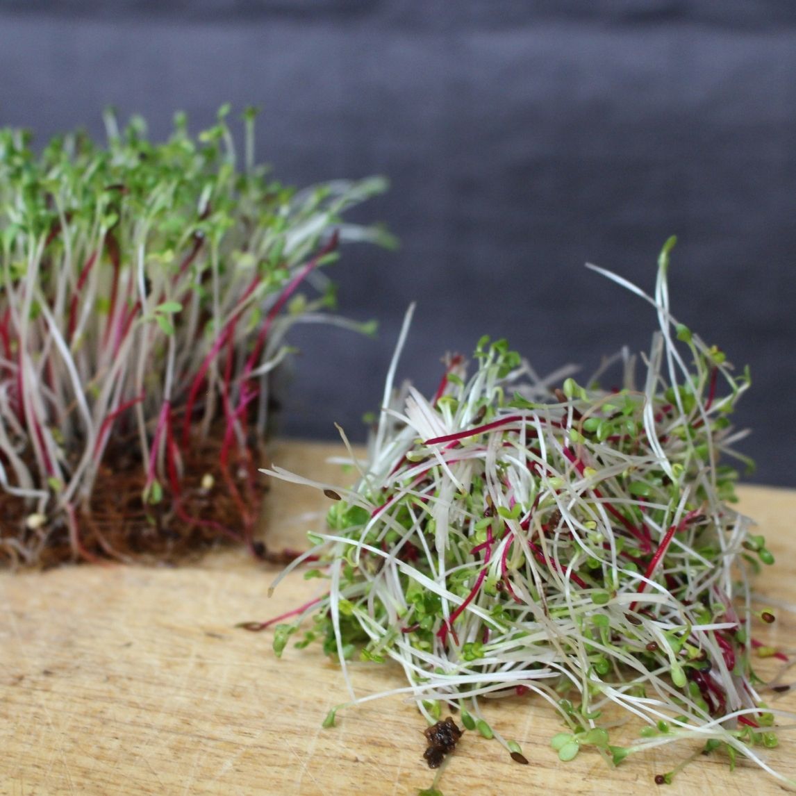 Baby Leaf Gourmet Mix